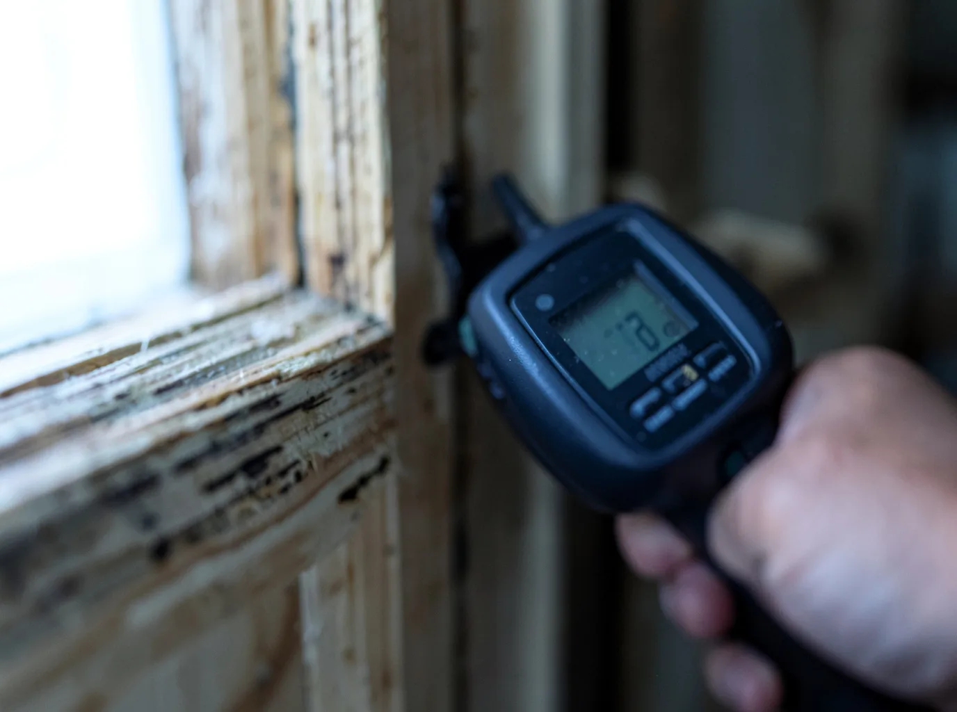 Commercial Water Damage Restoration in Talpa, TX